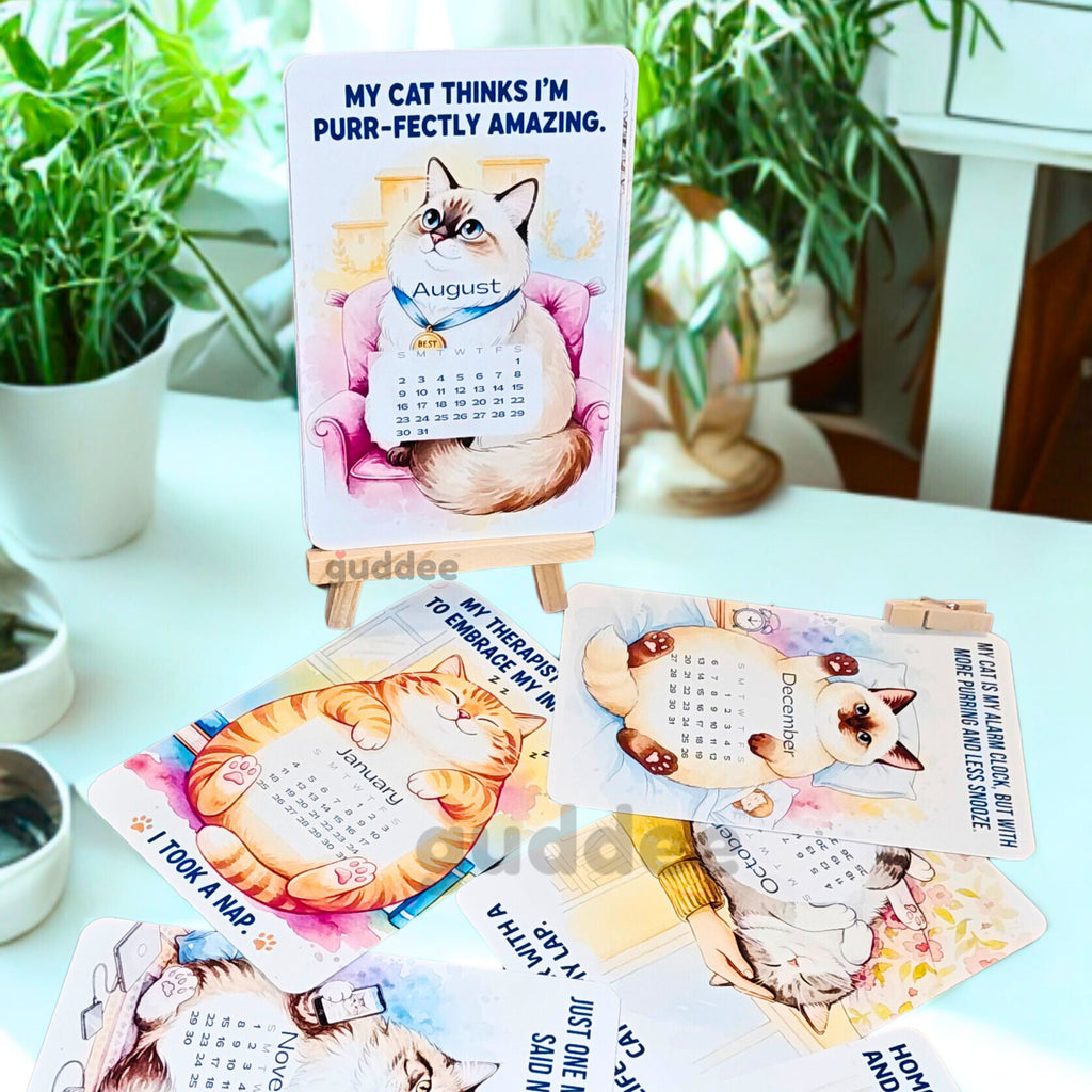 Cat lover quirky desk calendar 2026