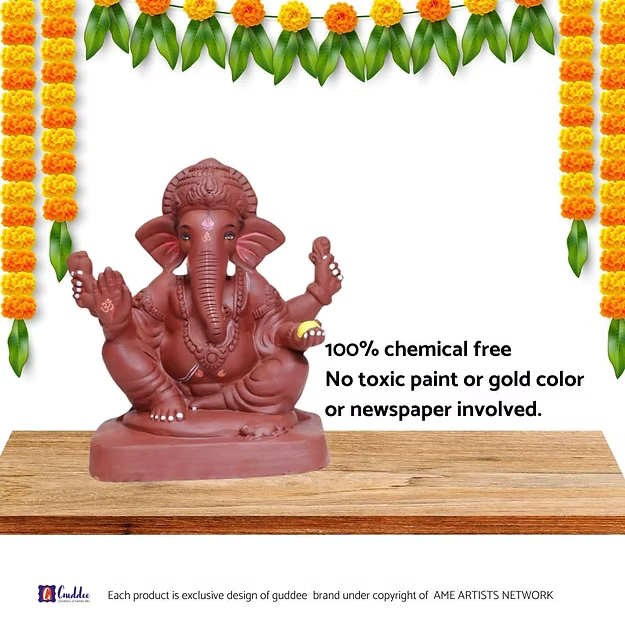 Ecofriendly Ganesha Model 3